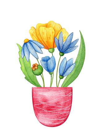 Wildflowers in a pot hand drawn in watercolor. Blue and yellow poppies and green leaves in violet can. Illustration for greeting card.の写真素材