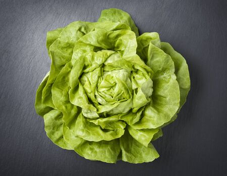 Head of lettuce isolated on stone.の写真素材