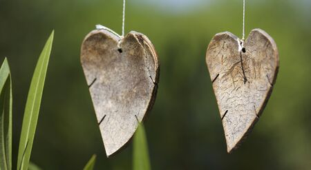 Couple of wooden hearts hanging .の写真素材