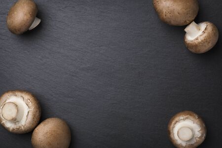 Many mushrooms isolated on stone plate with copyspace.の写真素材