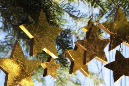 Arrangement of golden Christmas stars hanging from fir branch on blue background