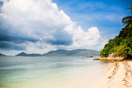 Tropical beach with palm tree and sailing ship in distance.