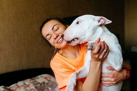 Cute girl petting her bull terrier .Beautiful girl having fun with her bull terrier and enjoying herself. Girl and her bull terrier having fun indoor.の写真素材
