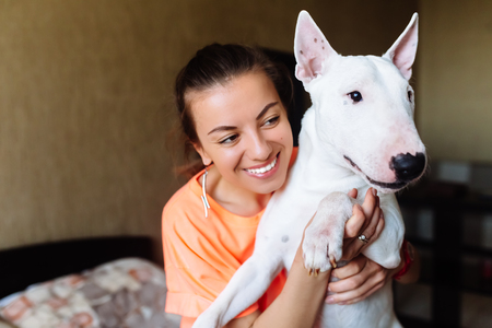 Cute girl petting her bull terrier .Beautiful girl having fun with her bull terrier and enjoying herself. Girl and her bull terrier having fun indoor.の写真素材