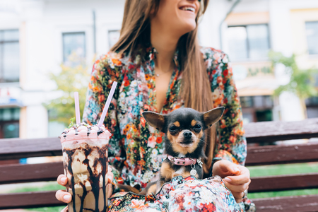 Young woman in sunglasses with little puppy. Outdoor lifestyle portrait of stylish pretty smiling female and her small dog.の写真素材