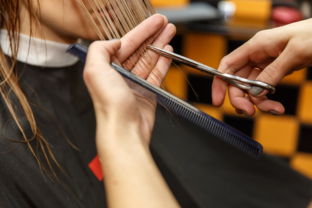 Professional hairdresser dyeing hair of her client in salon. Haircutter cuting hair. Selective focus.の写真素材