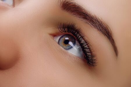 Eyelash Extension Procedure. Woman Eye with Long Blue Eyelashes. Close up, selective focus.の写真素材