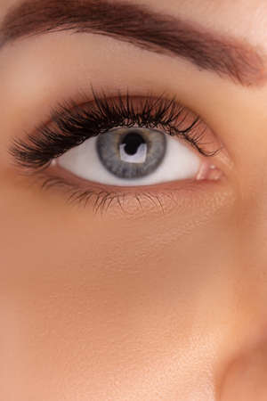 Eyelash Extension Procedure. Close up view of beautiful female eye with long eyelashes, smooth healthy skin.の写真素材