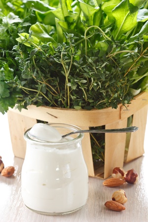 Healthy food concept. Herbs and yoghurt.の写真素材