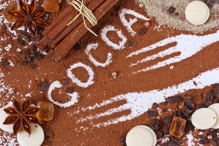 Powder of cocoa, chocolate, spices and sugar for a holiday pie.の写真素材