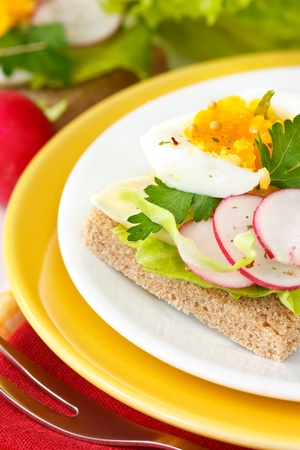 Fresh toast sandwich with egg, radish, green salad leaves and cheese on a plate close-up.の写真素材