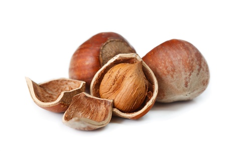 Testy hazelnuts on a white background.
