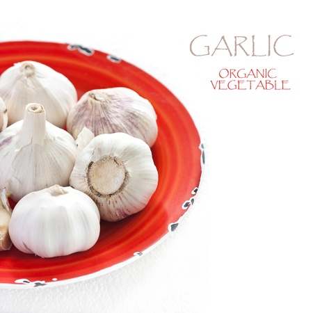Fresh natural organic garlic in a red plate on a white background の写真素材