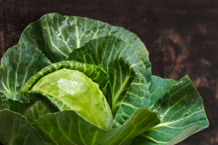 Fresh cabbage with water drips close up.の写真素材