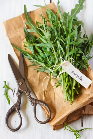 Bunch of fresh arugula with tag and old scissors.の写真素材