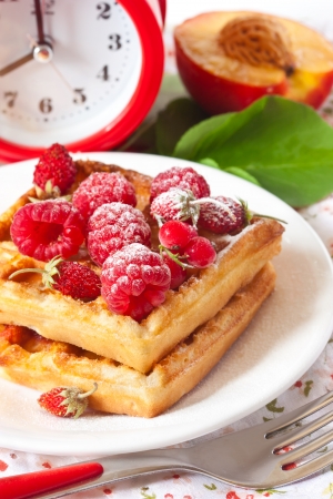 Delicious Belgian waffle with fresh berries for breakfast.の写真素材
