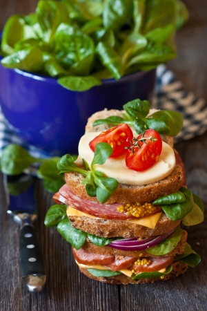 Tasty sandwich and bowl of fresh bok choy on a wooden background.の写真素材