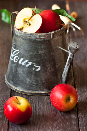 Red ripe apples and gardening tools on a wooden board in the orchard.の写真素材