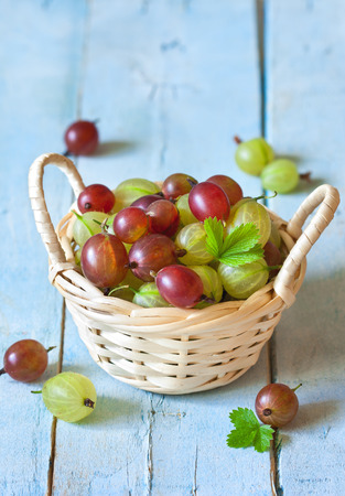 Fresh ripe gooseberries in basket on a blue wooden board.の写真素材