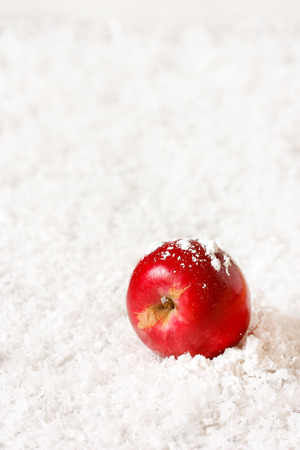 Christmas decoration with winter red ripe apple on snow with copy space for text.の写真素材