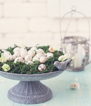 Easter quail eggs on cake stand with moss and flowers. Shabby chic style.の写真素材