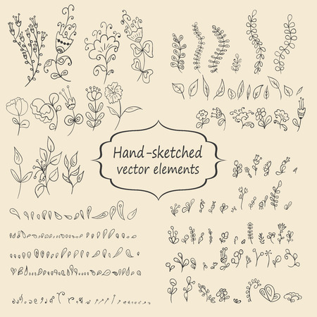 Hand sketched vintage floral elements for your design. Set of flowers and leaves. Vector illustratin.のイラスト素材