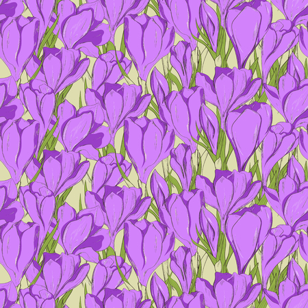 Seamless pattern with hand drawn crocus spring flowers.のイラスト素材