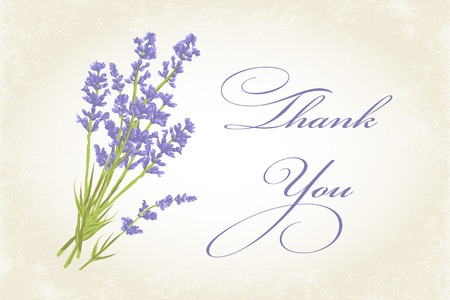 Thank you card with purple lavender flower. Vintage background. illustration.のイラスト素材