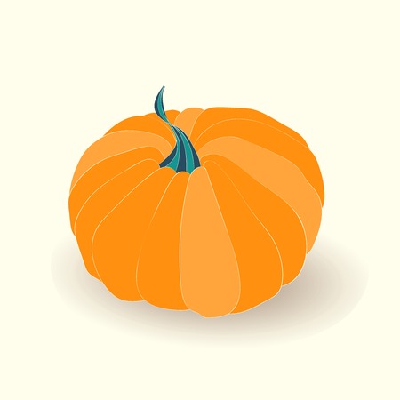 Pumpkin card. illustration of pumpkin isolated on white background.のイラスト素材