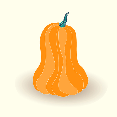 Pumpkin card. illustration of pumpkin isolated on white background.のイラスト素材