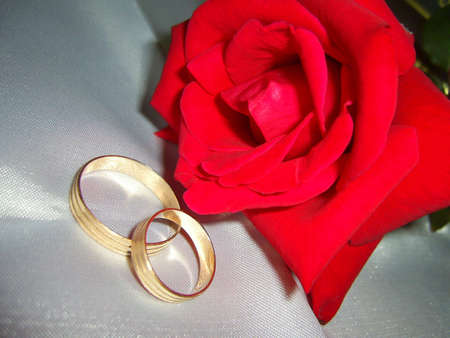Wedding cardの写真素材