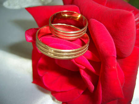 Wedding rings on a roseの写真素材