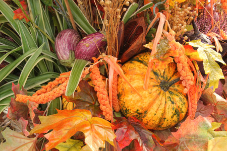 Colorful organic pumpkins and gourds on agricultural fair. Harvesting autumn time concept. Garden...