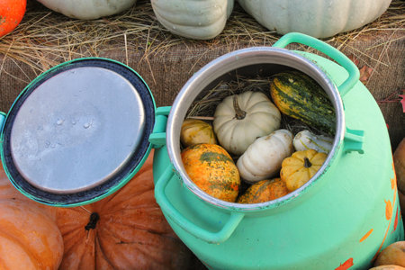 Colorful organic pumpkins and gourds on agricultural fair. Harvesting autumn time concept. Garden...
