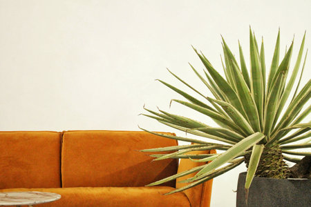 Minimalistic industrial modern stylish living room with white wall, interior with sofa, coffee table and plants. Scandinavian eco home decor concept. Neutral colors design. copy spの写真素材