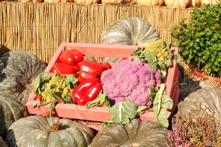 Organic pumpkin and vegetable in wooden box on agricultural fair. Harvesting autumn time concept. Garden fall natural plant. Thanksgiving halloween decor. Festive farm rural backgrの写真素材
