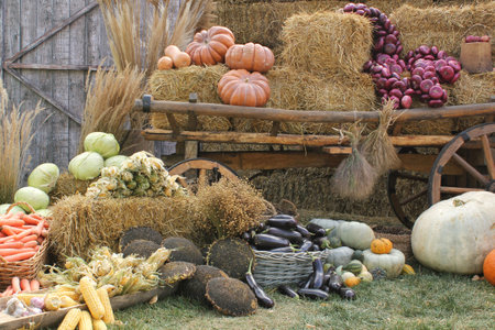 Fresh organic vegetables on farmer market. Local farm bazaar. Assortment of fresh organic harvest garden produce. Bio products, bio ecology. Natural healthy food festival. Agricultの写真素材