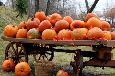 Pile of pumpkins on wooden cart at local autumn farmer's market. Rustic wooden wagon filled with...