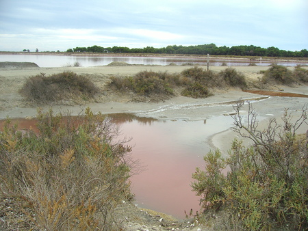 red water in the Saintes-Maries-de-la-Mer in the Camargue in France Pronvenceの写真素材