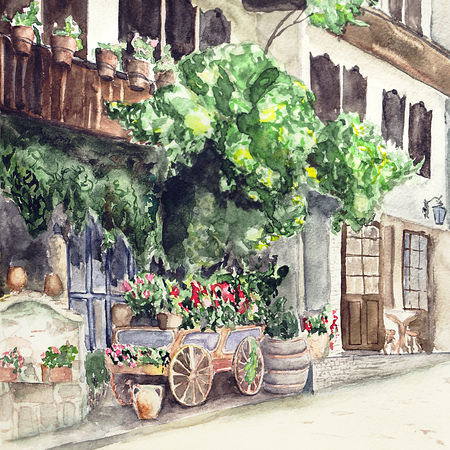 summer street with flowersの写真素材