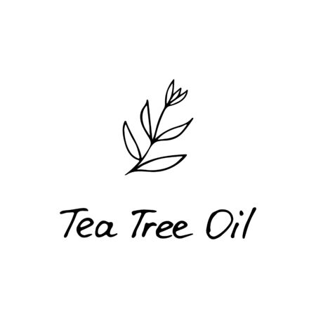 Tea Tree Plant. Cosmetic ingredient tea tree oil. Hand drawn icon for print and web. Vector graphicのイラスト素材