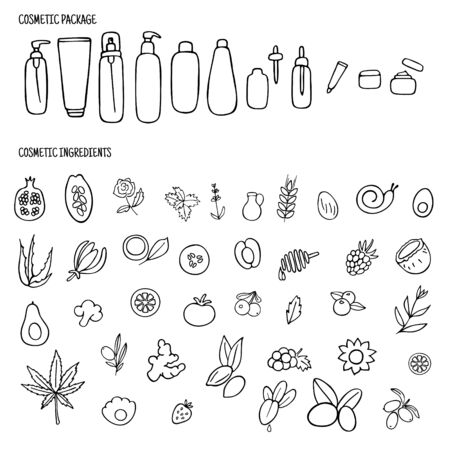 Organic cosmetics ingredients set for product packaging. Hand drawn packaging icons. Vector illustration.のイラスト素材