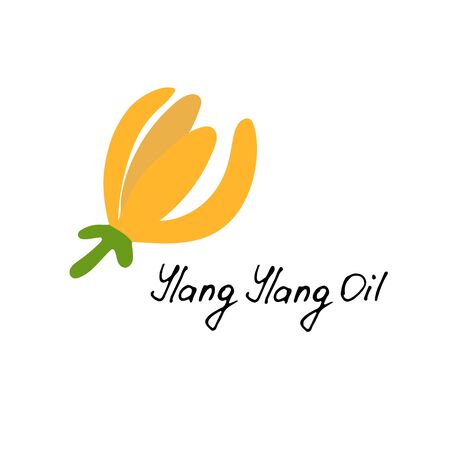 Tropical flower - ylang-ylang Cananga. Hand drawn element for print and web. Vector illustrationのイラスト素材