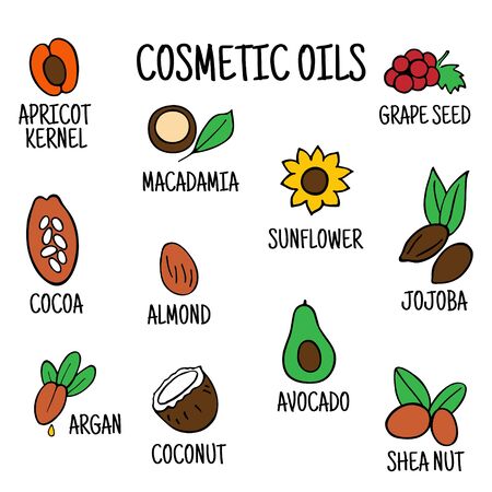Cosmetic oils. Nuts from which squeeze oils. Nourishing oils for skin beauty. Vector icons.のイラスト素材