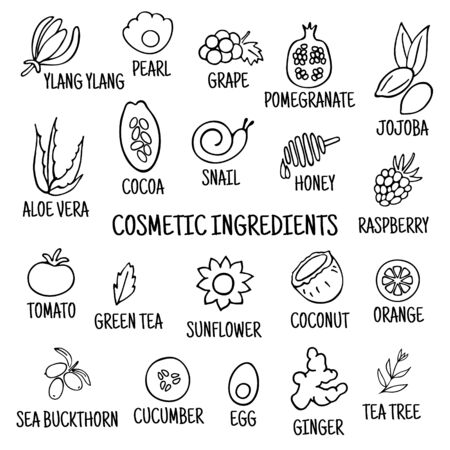 Cosmetic ingredients. Hand-drawn icons of herbs, fruits, vegetables, flowers, oils. Collection of vector iconsのイラスト素材