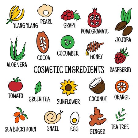 Hand-drawn plants flowers herbs fruits vegetables oils. Cosmetic ingredients set. Vector collection of icons.のイラスト素材