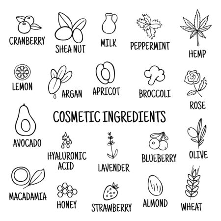 Hand-drawn plants flowers herbs fruits vegetables oils. Cosmetic ingredients set. Vector collection of icons.のイラスト素材