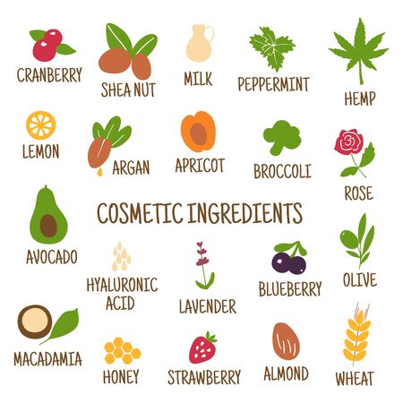 Cosmetic ingredients. Hand-drawn icons of herbs, fruits, vegetables, flowers, oils. Collection of vector iconsのイラスト素材