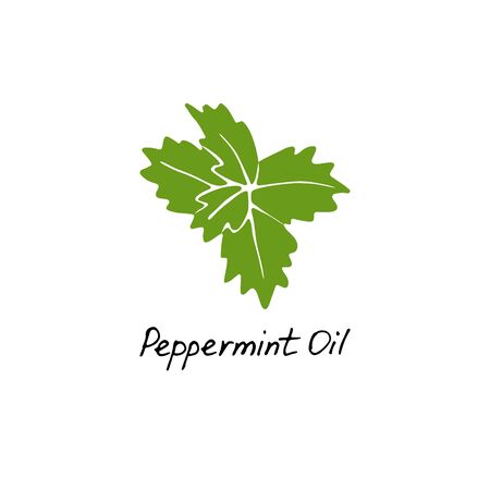 Mint green vector illustration. Hand drawn peppermint logo. Peppermint oil for cosmetic design.のイラスト素材