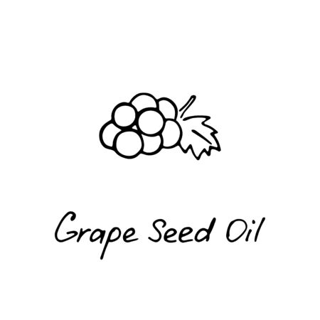 Grape seed oil. Cosmetic ingredient. Nutritional oil for skin care and health. Hand-drawn icon of grape and hand writting inscription. Vector illustrationのイラスト素材